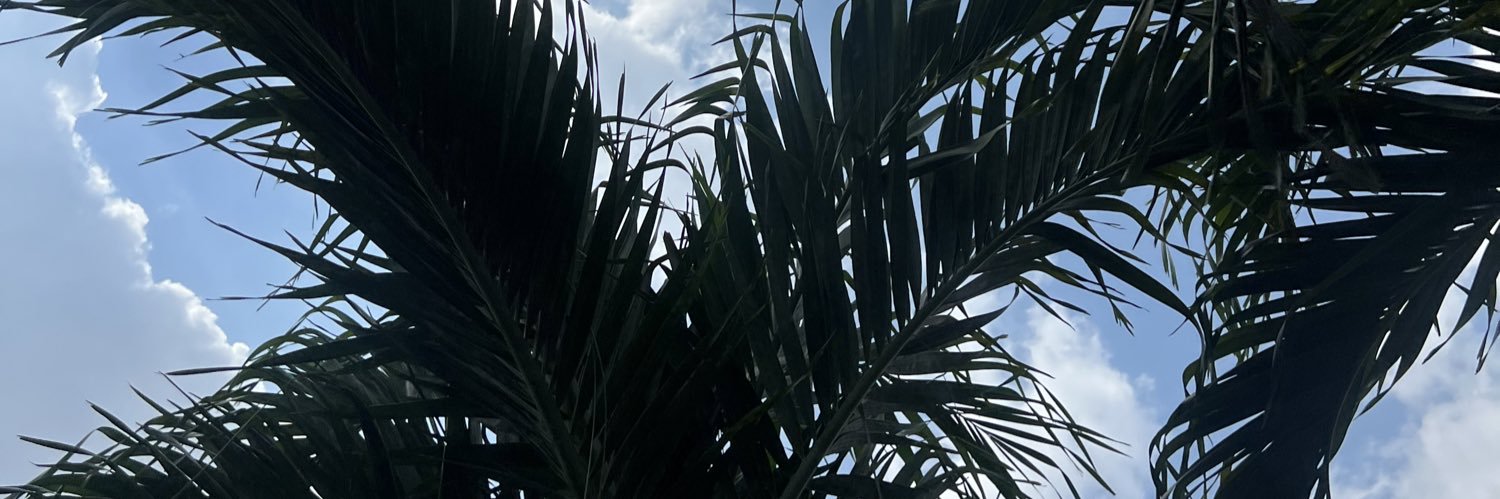 MaeTheSupreme's profile banner image