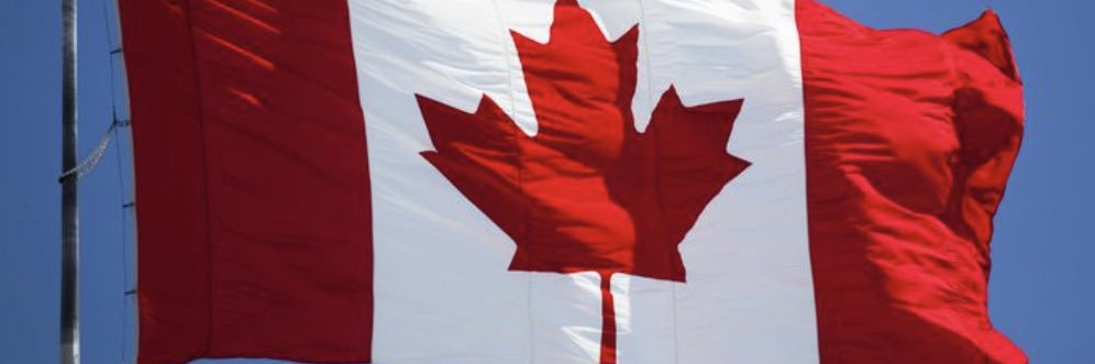 Senator David Wells banner