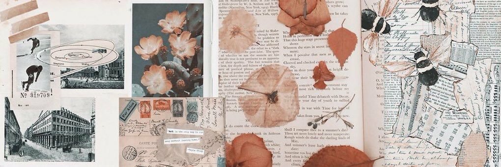 neskyka's profile banner image