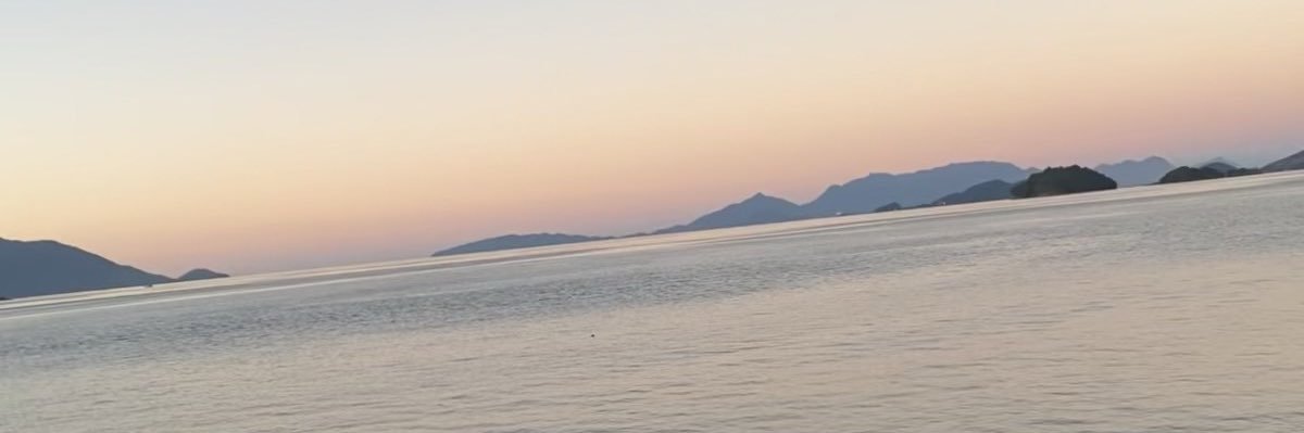 peterson0610's profile banner image