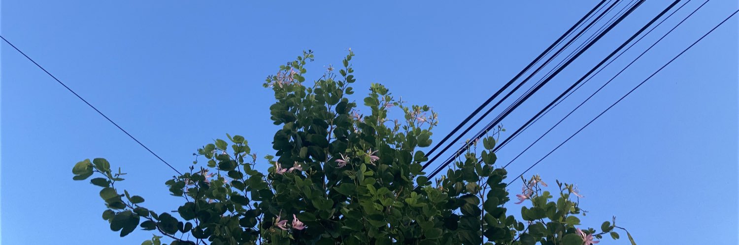 Isnaninfh's profile banner image