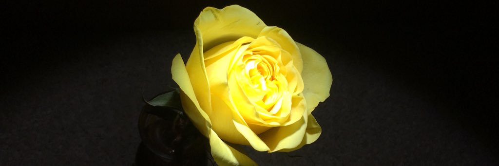 KateIsMagical's profile banner image