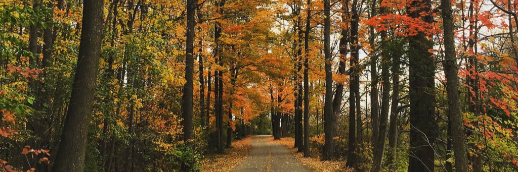RachelKosoff's profile banner image