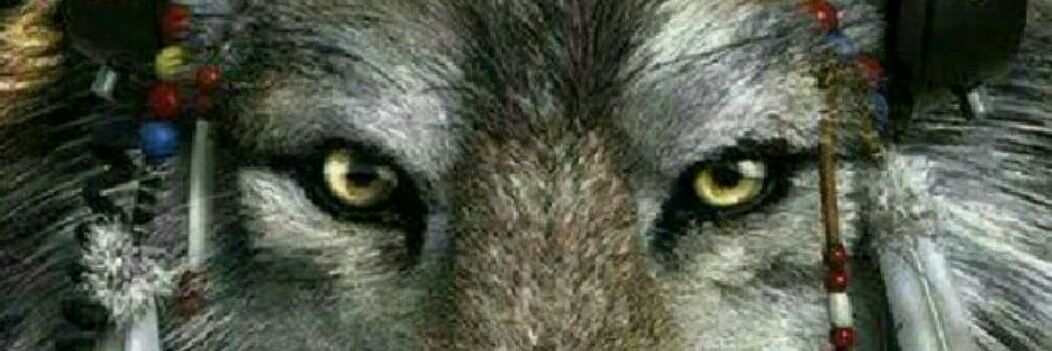 WolfyTweetsShit's profile banner image