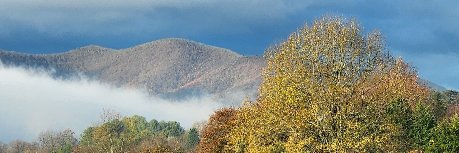 Sandy M.🇺🇸 🖖🌻 banner