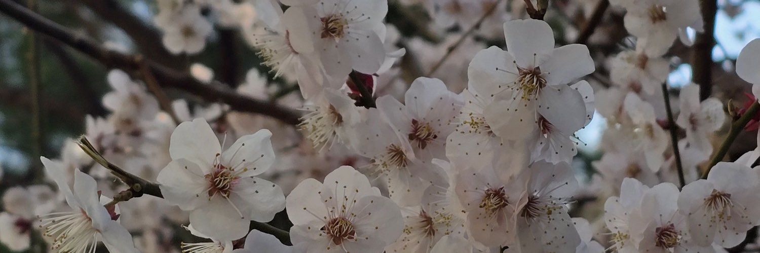trustissue's profile banner image