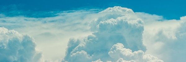 Michael Walmsley banner