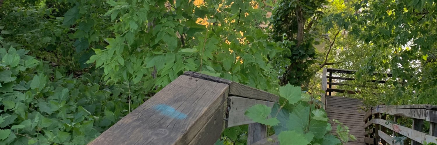 amelianelson_'s profile banner image