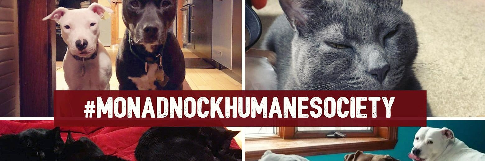 MonadnockHumane's profile banner image