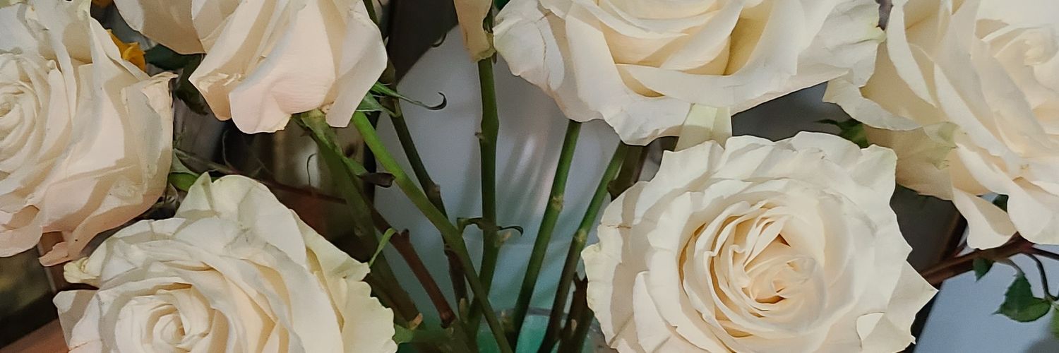 chekojms's profile banner image