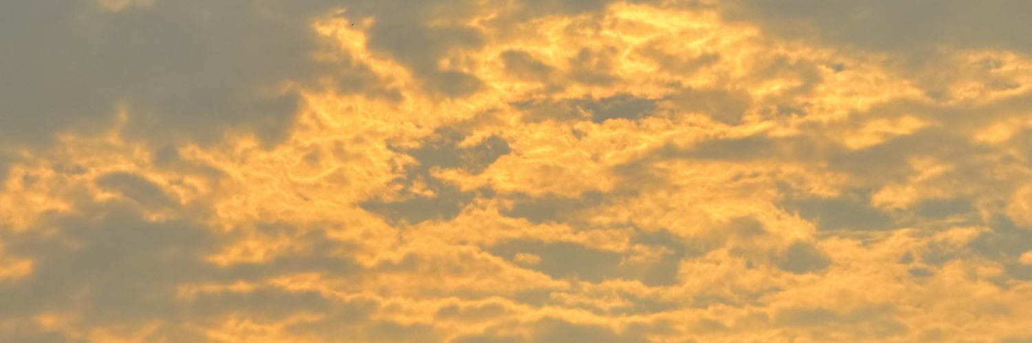 vetttev's profile banner image
