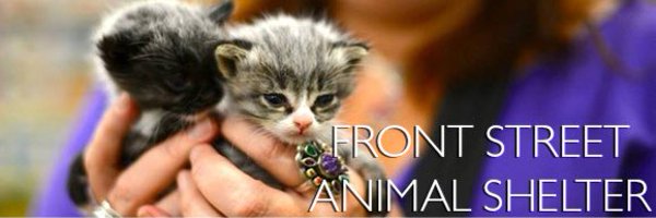 frontstreetpets Profile Banner