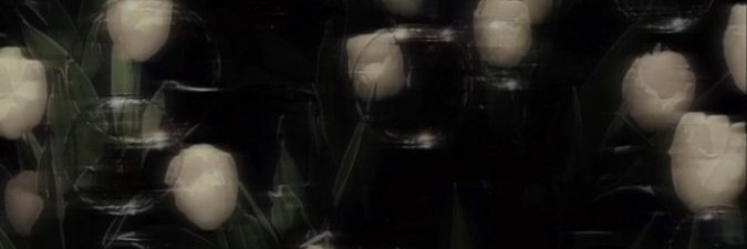 I. 🐈‍⬛₊˚⊹ banner