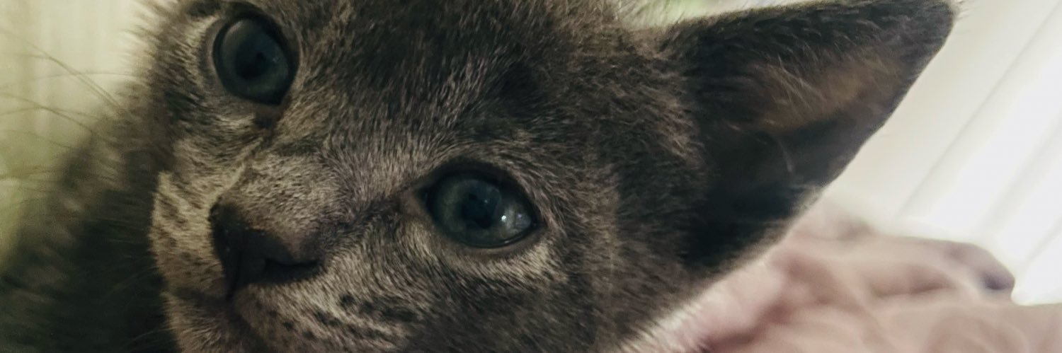 _santos78's profile banner image