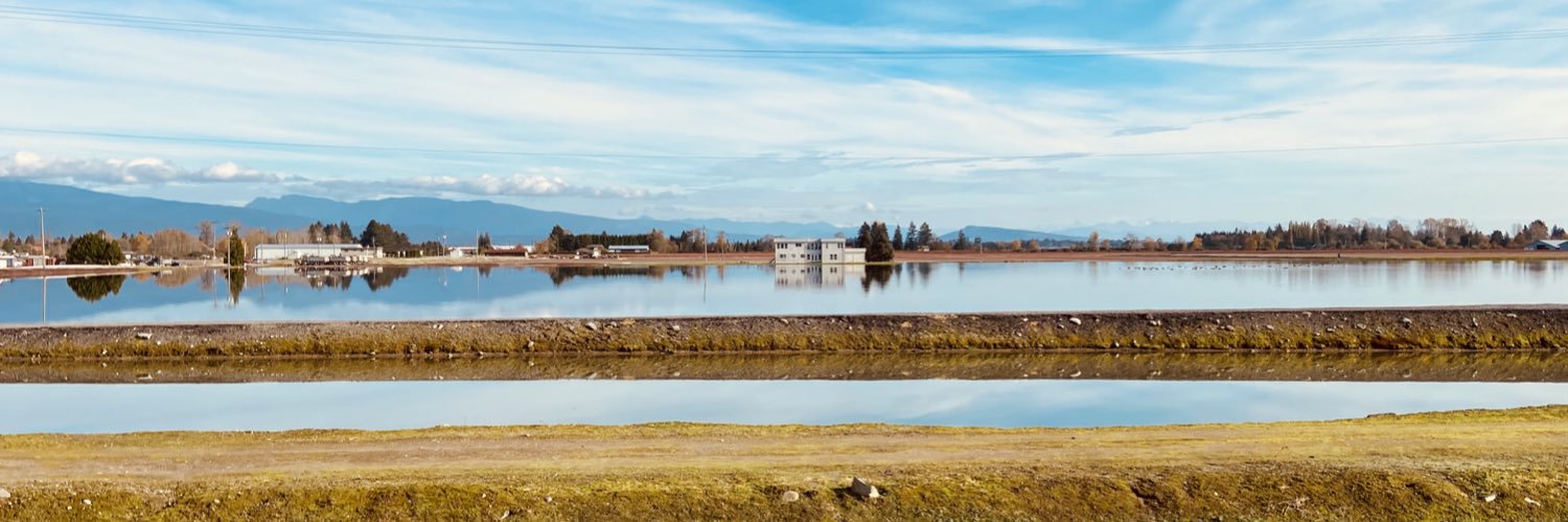 Christina Reis banner