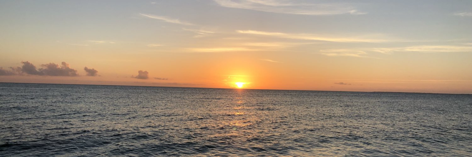 ym0805's profile banner image