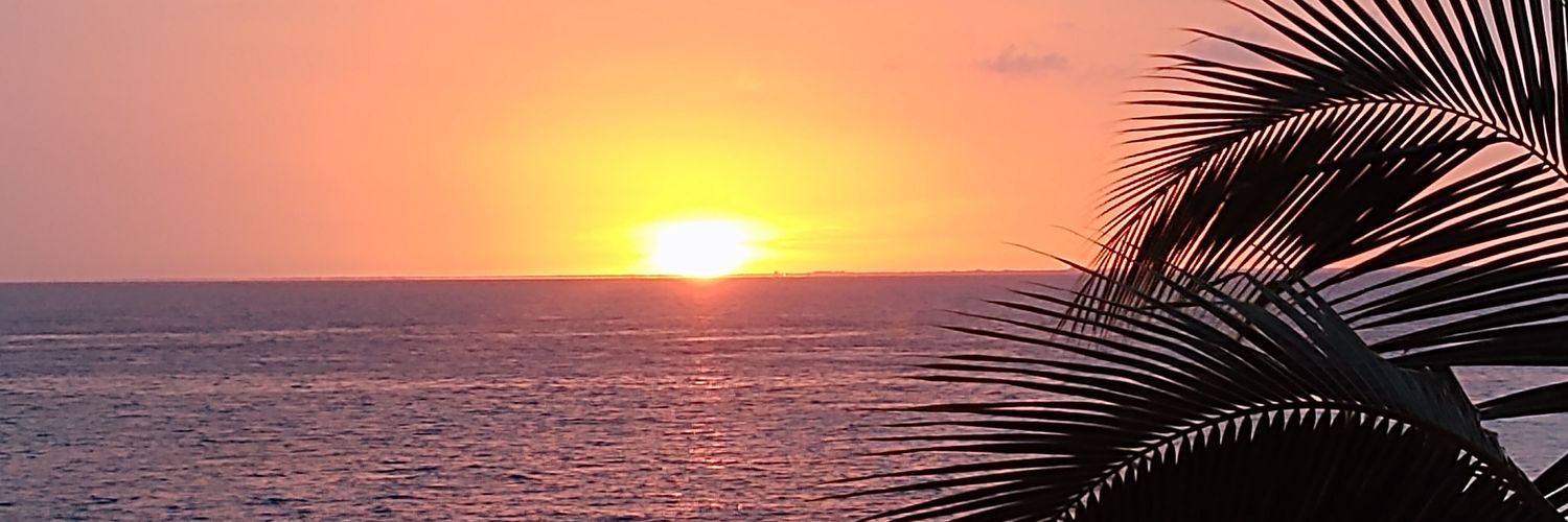 Pvandevuurst's profile banner image