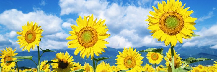 putu_dian0101's profile banner image