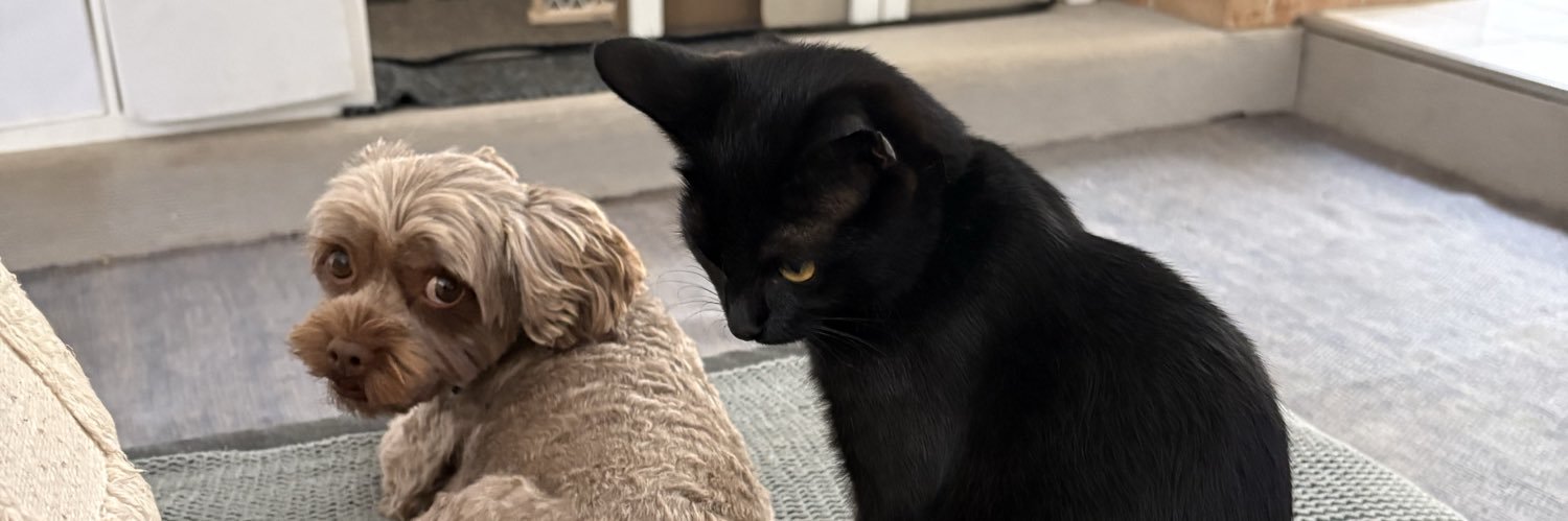 Moo🇺🇦 🏳️‍🌈🇵🇸 🇪🇸⚫️💛🔴 banner