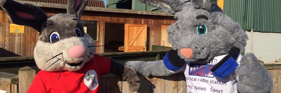 Warren103Rabbit's profile banner image