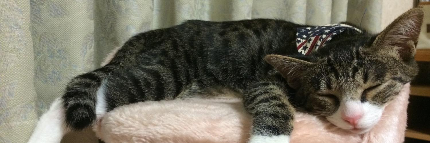 poire69's profile banner image