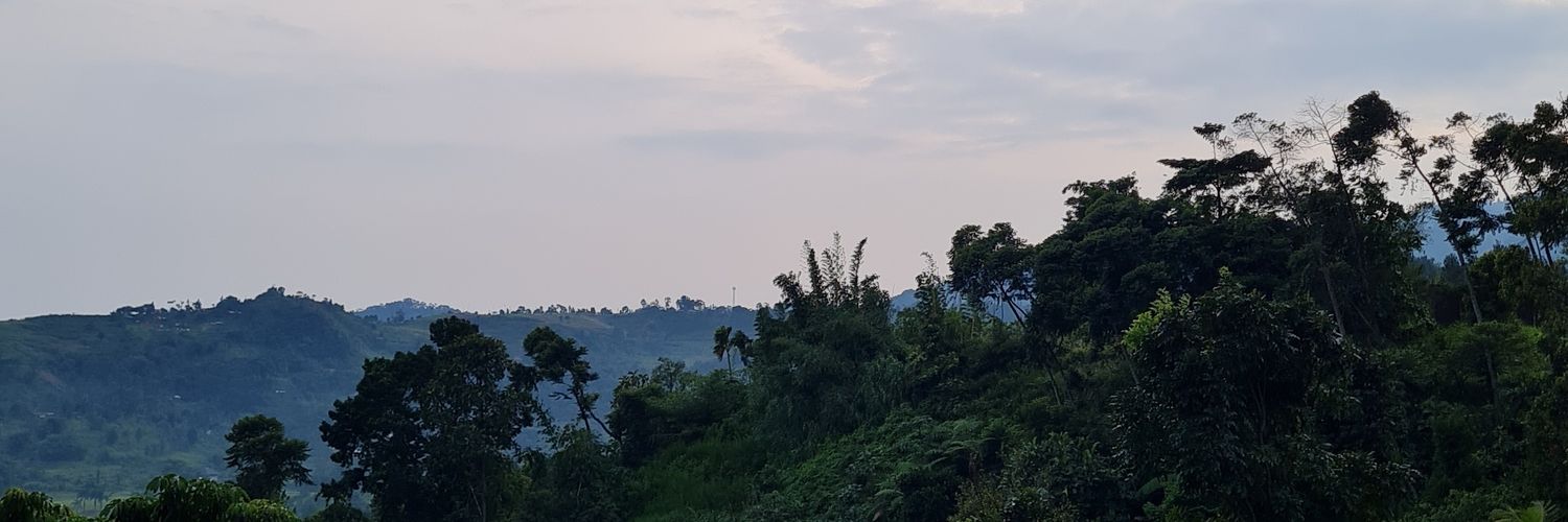 pamjis's profile banner image