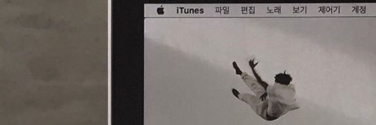 meowyalee's profile banner image