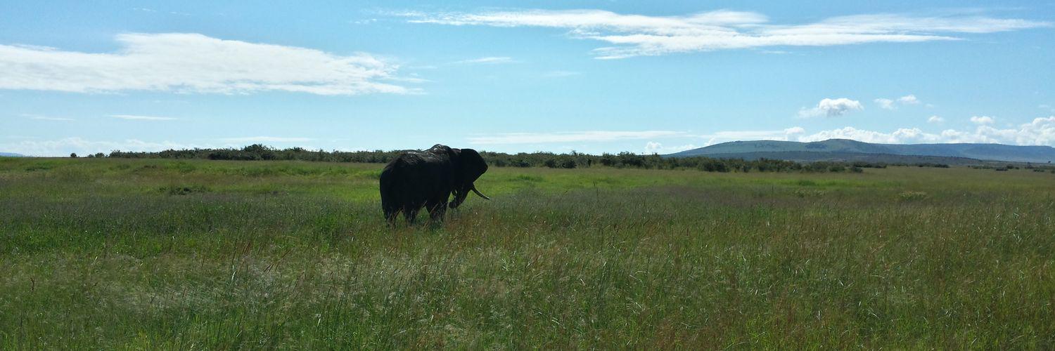 Casper Andersen banner