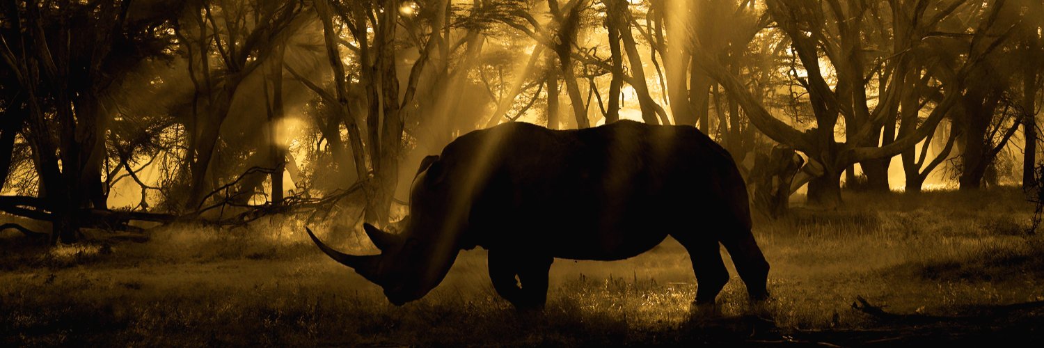 Rahul Sachdev banner