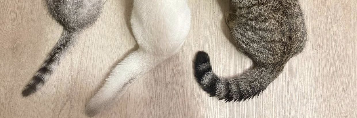 หนมเป้า ☀️ ft. เอิสมิข banner