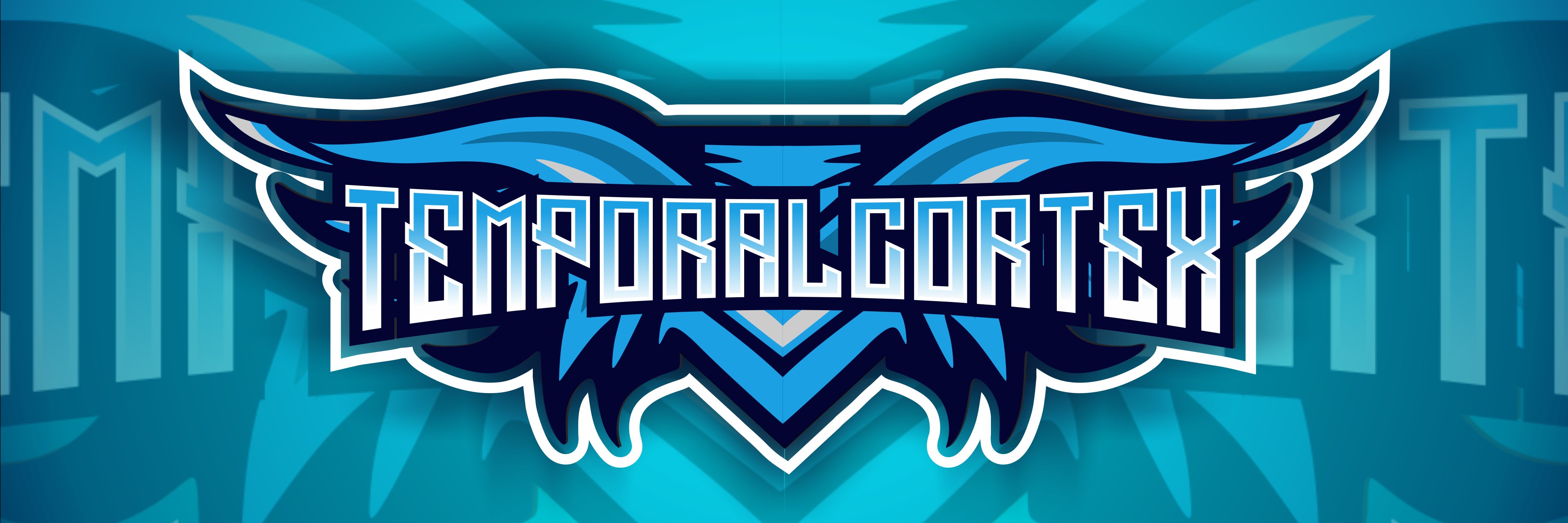 Temporalcortex banner