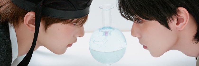 남버섯 banner