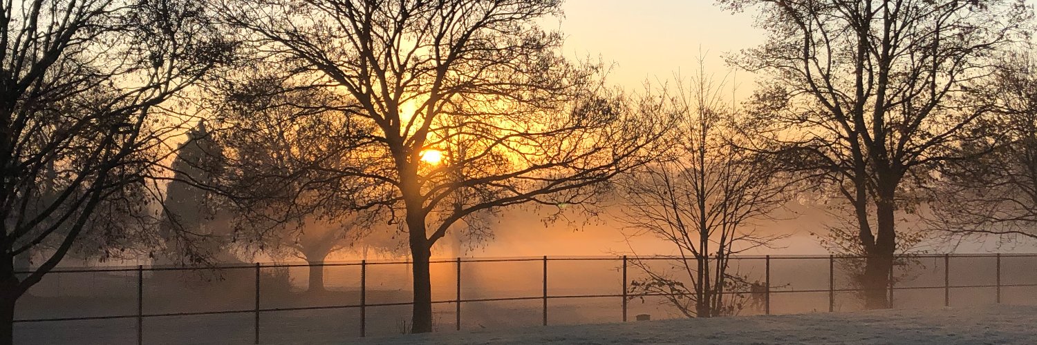 Belle Vue Primary & Nursery School banner