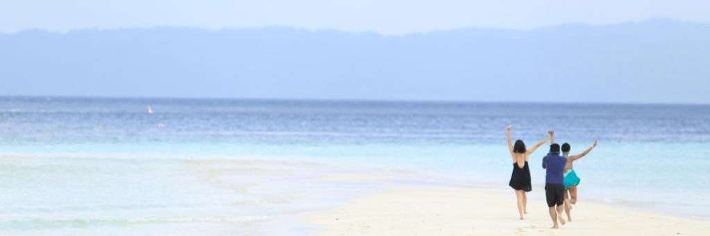 lauraola's profile banner image