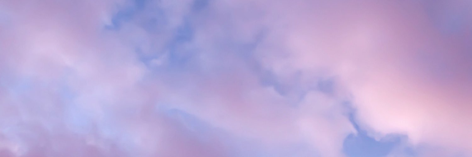 marliesatter's profile banner image
