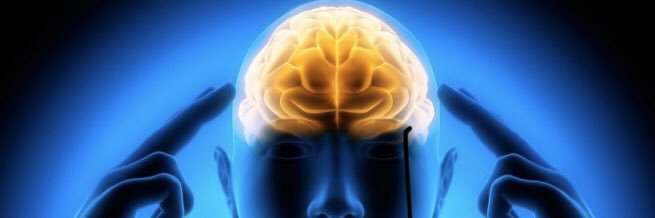 Dr.Brain banner