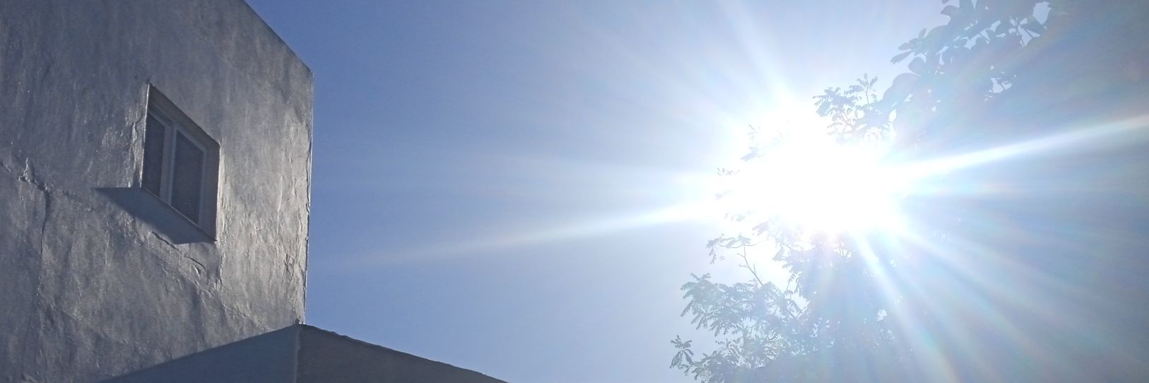 Severignon's profile banner image