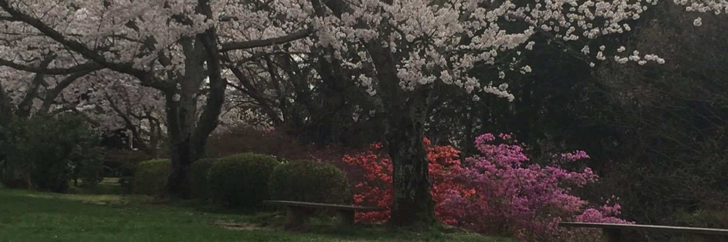 silverwolfjapon's profile banner image