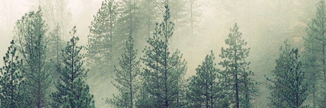 KevinGolden23's profile banner image