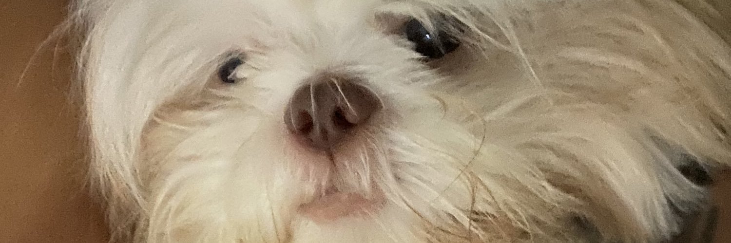 GermanaDemolin1's profile banner image