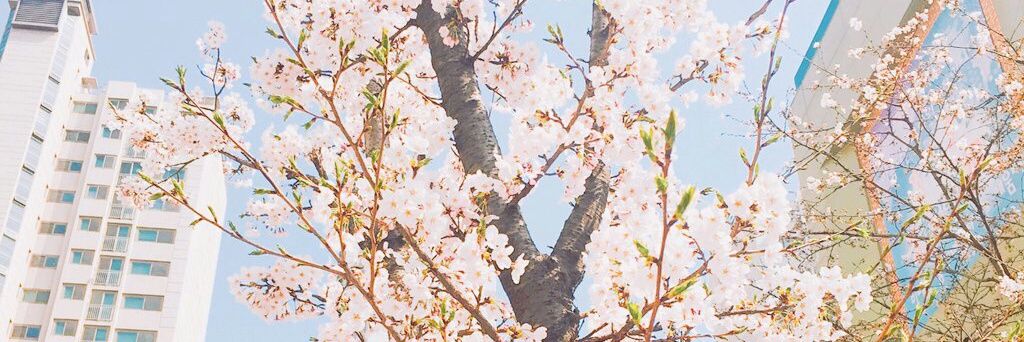 fbehdfyd_19's profile banner image