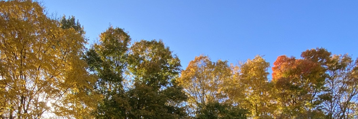 Meri McClellan banner