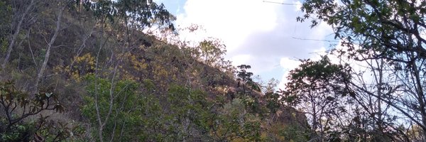 brunnei62 Profile Banner