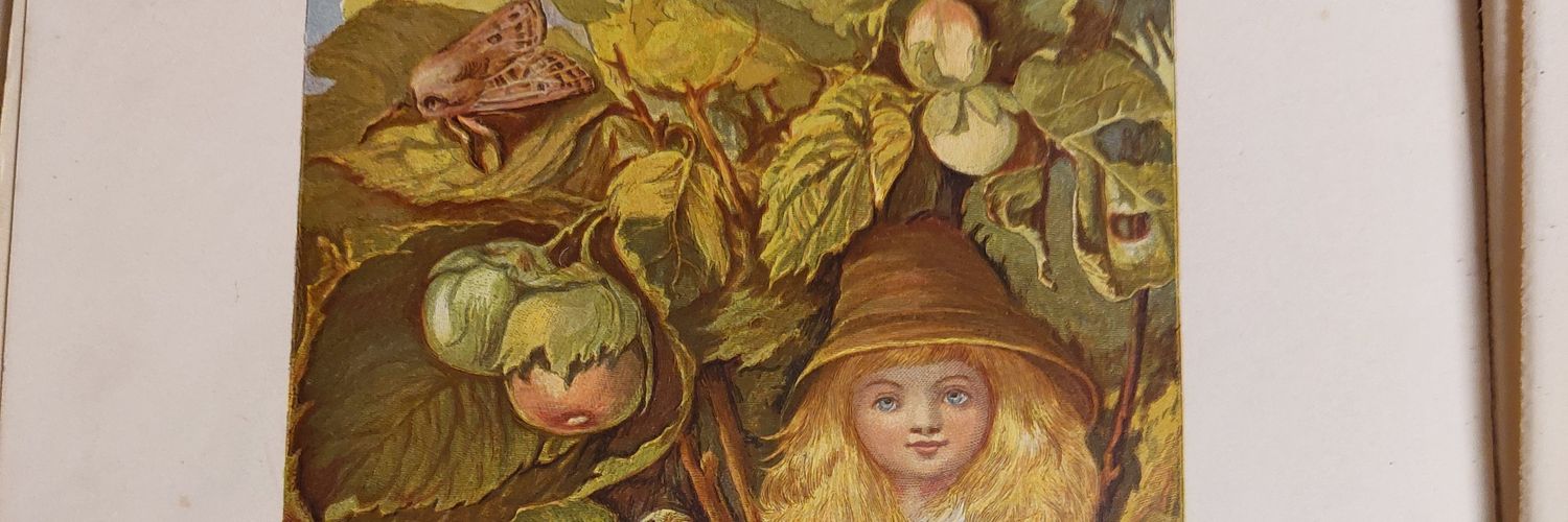 SELCIE's banner