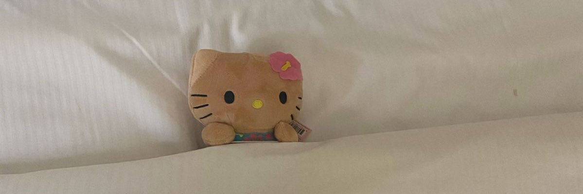 ploysrr's profile banner image