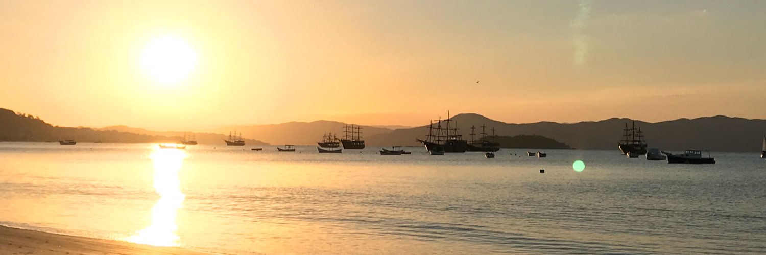carolinadeassis's profile banner image