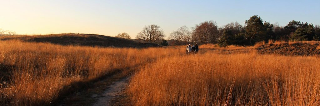 Elien De Bousser banner