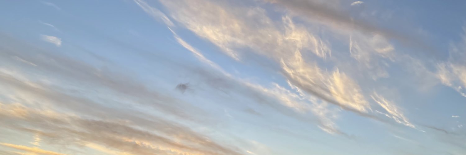 wit0619's profile banner image