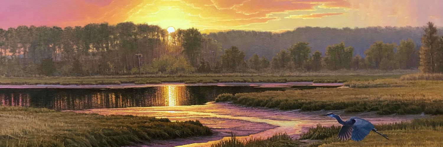 MatthewMSchulz's profile banner image