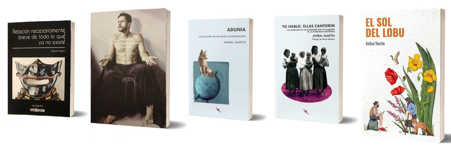 Aníbal Martín banner